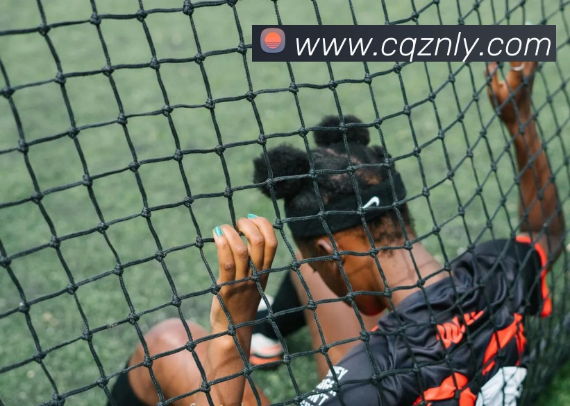赛事专题整合